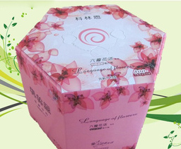 科林恩中間抽式純木漿式紙巾紙