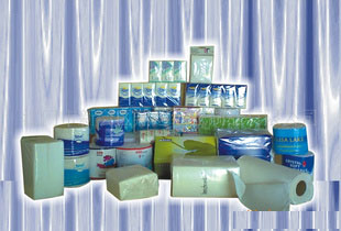 紙業(yè)紙品專業(yè)衛(wèi)生紙紙品廠紙業(yè)紙品專業(yè)廠家