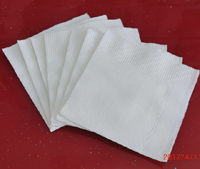 供應(yīng)廠家批發(fā)餐巾紙