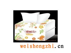 衛(wèi)生紙、大盤紙、銅版紙、制本紙、A4復印紙、書刊紙、膠印紙