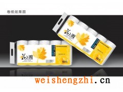 河南華豐紙業(yè)有限公司衛(wèi)生紙生產(chǎn)