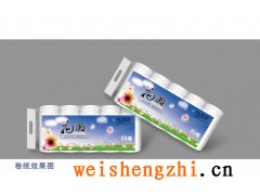 河南華豐紙業(yè)有限公司