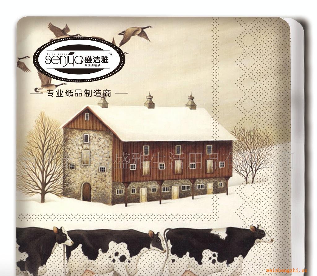 廠家直供供應(yīng)印花餐巾紙，彩色餐巾紙