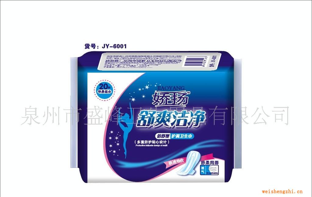 廠家直銷《嬌揚(yáng)舒爽潔凈系列》20片快易組合網(wǎng)衛(wèi)生巾