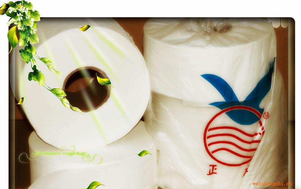 正應(yīng)優(yōu)質(zhì)ZY1050A精品單層大卷紙