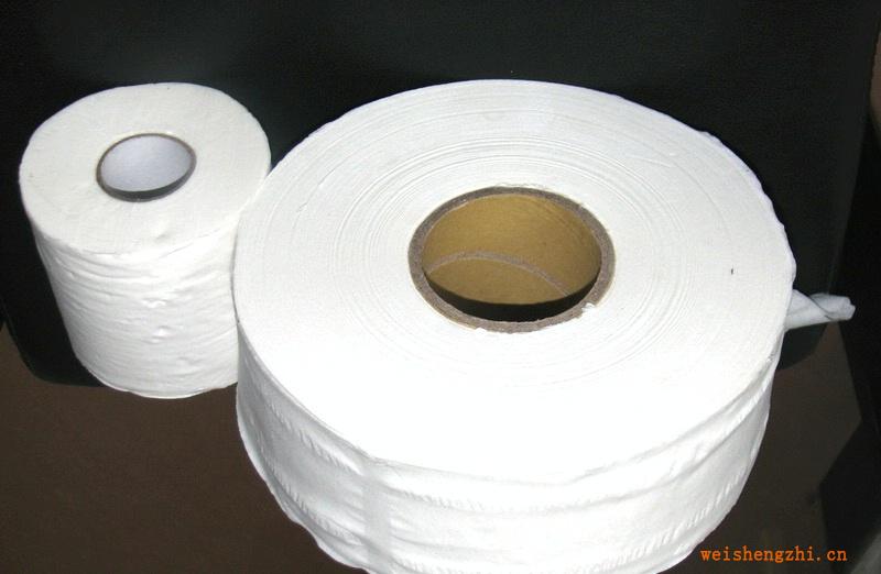 供應(yīng)依麗雅品牌商用大卷衛(wèi)生紙1箱起送