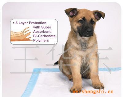處理全新寵物墊、寵物墊、寵物護理墊、一次性寵物清潔墊