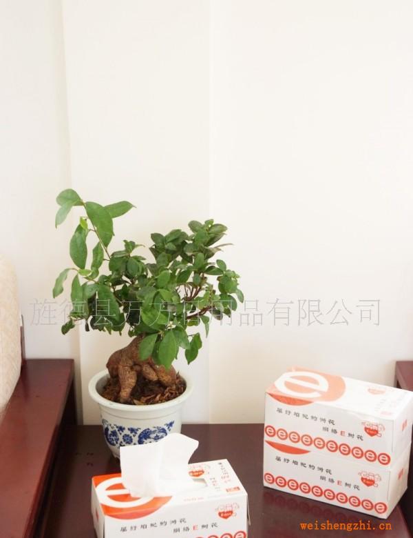 【中國(guó)好貨源】潔凈衛(wèi)生白皙柔韌手感細(xì)滑吸水強(qiáng)勁x型面紙