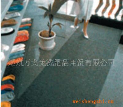 廠家供應(yīng)朗美7150特強(qiáng)有底型除塵地墊