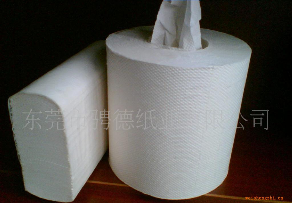 廠家供應(yīng)中間抽取式擦手紙、擦手紙、衛(wèi)生紙、紙制品、紙巾