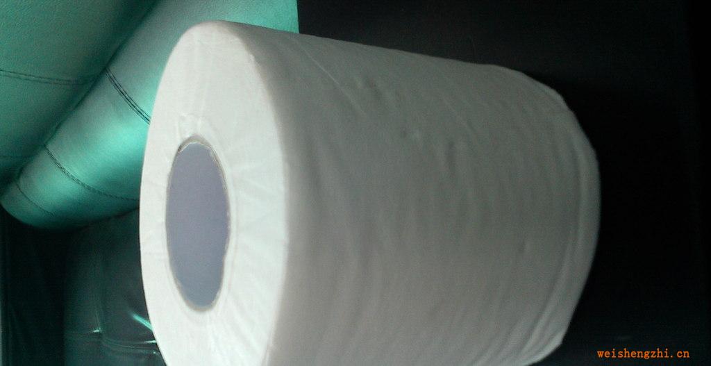 出口標(biāo)準(zhǔn)美國衛(wèi)生卷紙