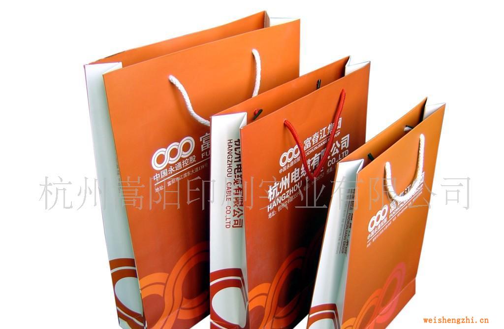 廠家直銷(xiāo)各式紙袋免費(fèi)提供設(shè)計(jì)