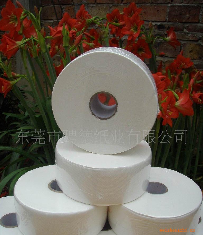 供應(yīng)紙質(zhì)柔軟小盤紙10箱起批