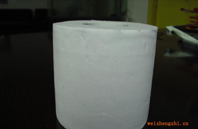 【廠家直銷】供應2層出口環(huán)保衛(wèi)生紙