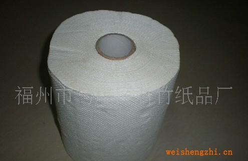 l精品推薦供應(yīng)質(zhì)量保證的卷筒擦手紙