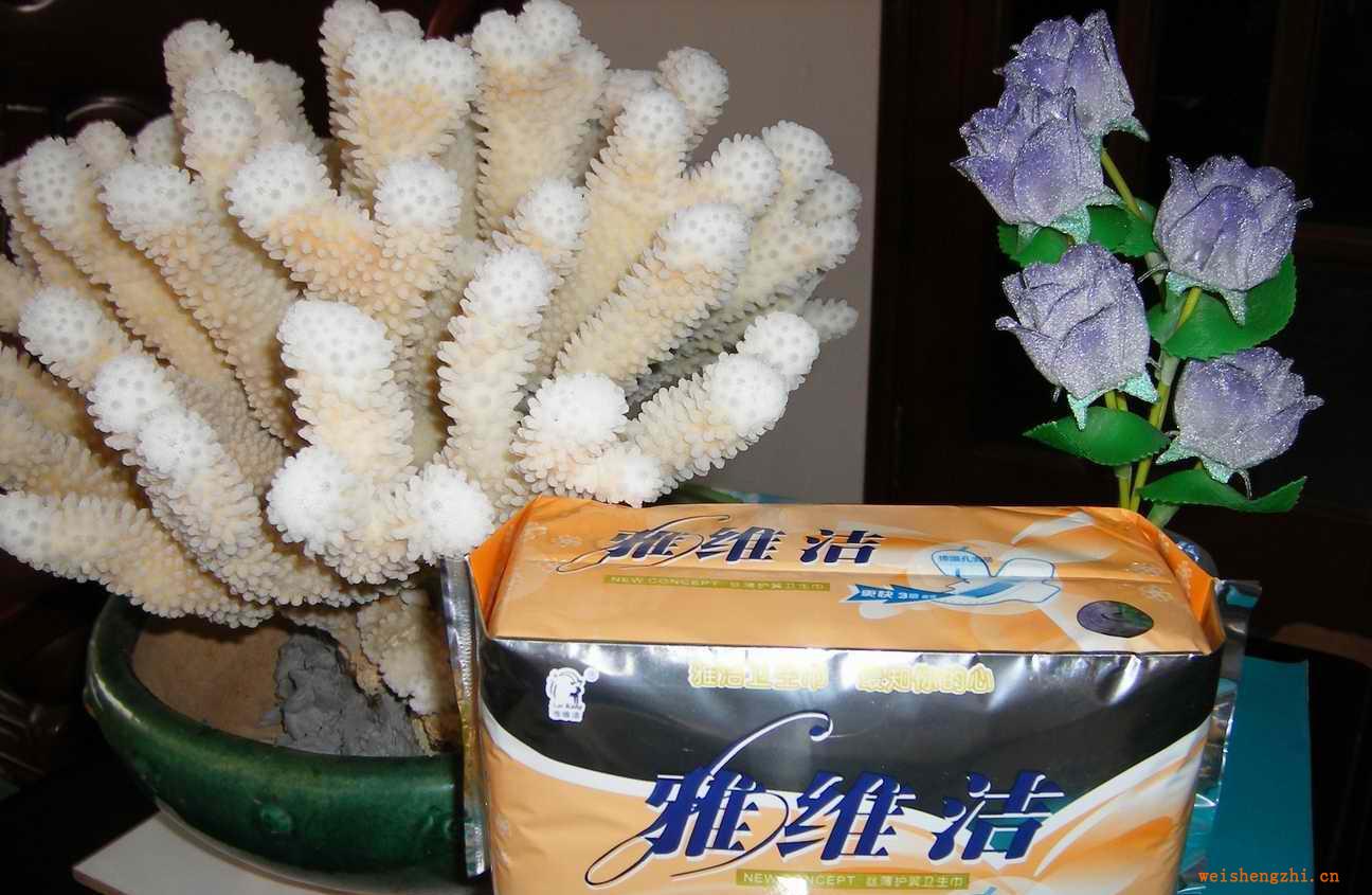 誠招衛(wèi)生巾區(qū)域代理商