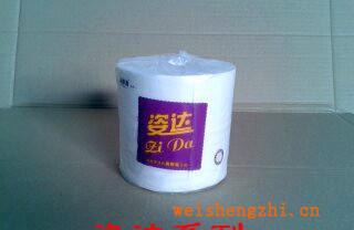 惠州市紙巾廠供應(yīng)卷筒衛(wèi)生紙巾家用生活卷紙姿達系列