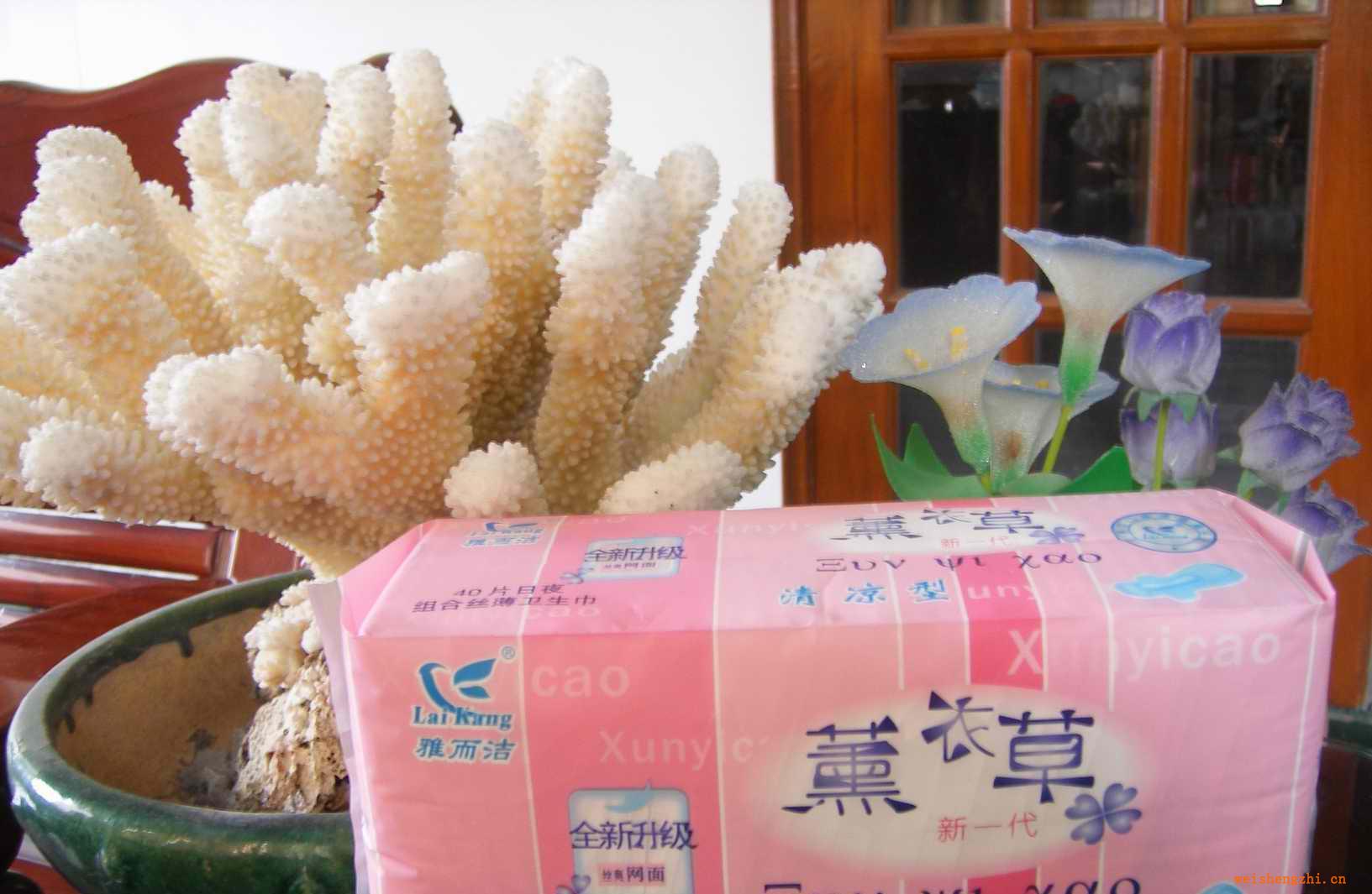 誠招衛(wèi)生巾區(qū)域代理