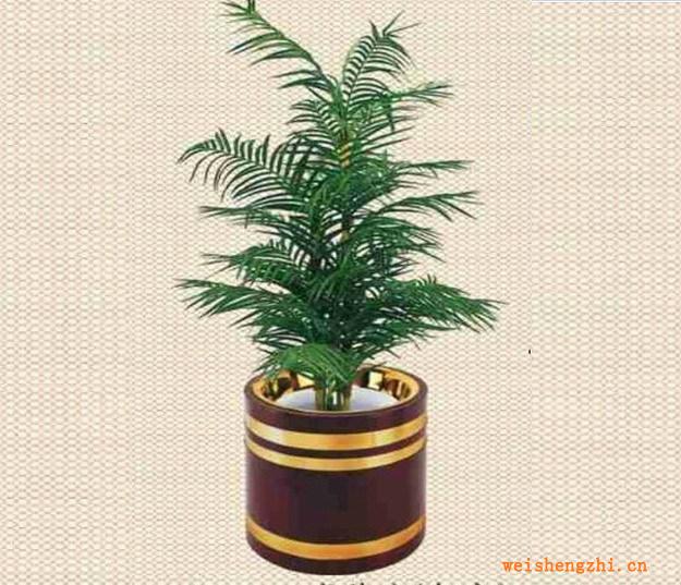 大堂花盆系列產(chǎn)品（可選擇多種產(chǎn)品）：日式花盆