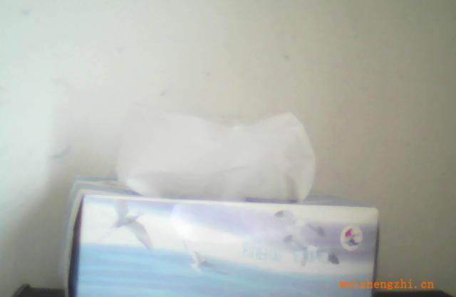 批發(fā)直銷(xiāo)生產(chǎn)加工各種規(guī)格【木漿】面巾紙