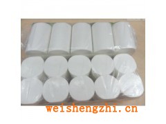 廠家供應(yīng)衡水木漿/半木漿/棉漿衛(wèi)生紙大白卷
