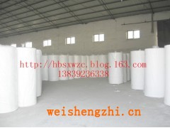 質(zhì)優(yōu)價(jià)廉的混漿衛(wèi)生紙大軸紙衛(wèi)生紙?jiān)? onerror=