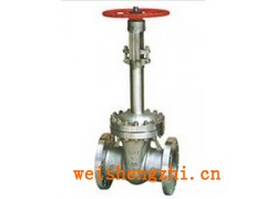 銷售DZ41Y-16C美標(biāo)低溫閘閥