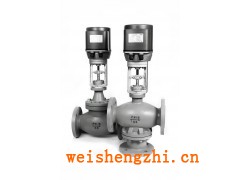 進(jìn)口電動(dòng)調(diào)節(jié)閥