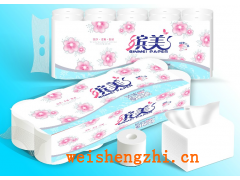 河北省保定市風(fēng)云紙制品廠|保定衛(wèi)生紙|保定抽紙|手帕紙廠