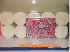 山東聊城莘縣家合紙業(yè)|聊城衛(wèi)生紙廠家|噴漿品牌好衛(wèi)生紙加盟