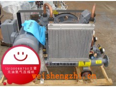 無(wú)油氮?dú)鈮嚎s機(jī)