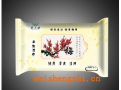 愛衛(wèi)康-梅-清潔濕巾