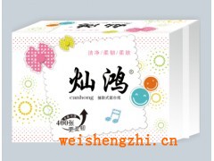 河北紙廠|河北衛(wèi)生紙|醫(yī)院用紙|賓館用紙|衛(wèi)生紙價格|方塊紙