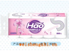 河南浩元紙業(yè)|浩元噴漿紙|浩元抽紙|浩元掛漿紙|河南甘蔗漿紙