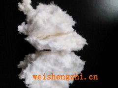 衛(wèi)生紙?jiān)蟶毛絨漿|保定毛絨漿|金弘絨毛絨漿廠|高分子絨漿