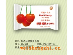 山東壽光市百合衛(wèi)生用品廠家|山東濕巾|全國(guó)招商代理