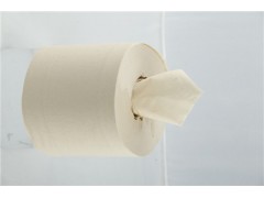 衛(wèi)生紙?jiān)坾本色原紙|韶能本色原紙|卷紙?jiān)坾衛(wèi)生紙?jiān)? onerror=