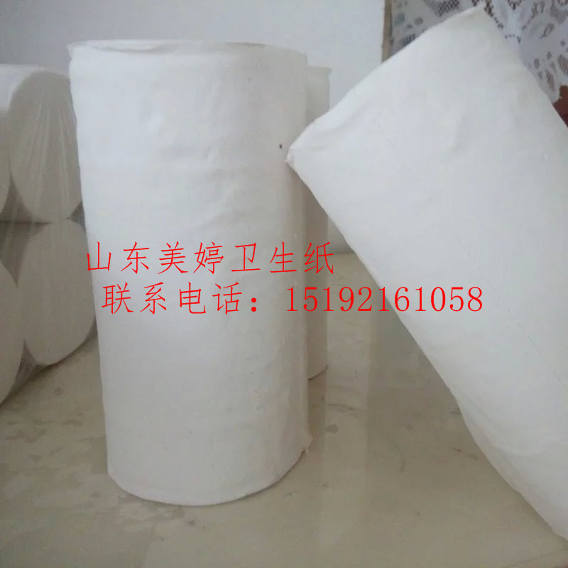山東美婷紙業(yè)有限公司 透徹衛(wèi)生紙分析