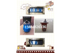 廠家直銷山東裝載機(jī)齒輪油泵_裝載機(jī)齒輪油泵專賣店