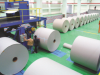 今年上半年我國造紙行業(yè)發(fā)展勢頭趨好