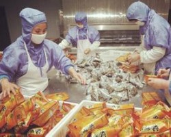 阿聯(lián)酋包裝業(yè)市場(chǎng)規(guī)模23億美元