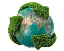 加大政策激勵(lì) 讓林業(yè)釋放更強(qiáng)碳匯潛力