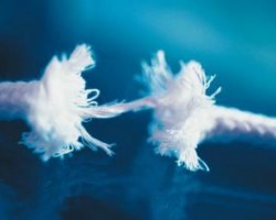 《全球造紙工業(yè)報(bào)告》：全球造紙業(yè)轉(zhuǎn)型危與機(jī)