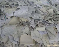 廣東從廢紙中接貨來(lái)自美國(guó)的高危劇毒生物