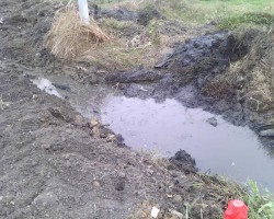 山東濟(jì)寧聯(lián)合紙業(yè)被通報(bào)