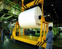 造紙行業(yè)前瞻 無懼成本