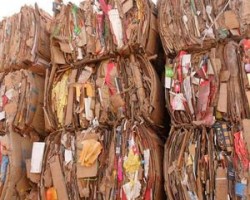 國廢紙上漲迅速，大部分地區(qū)廢紙荒