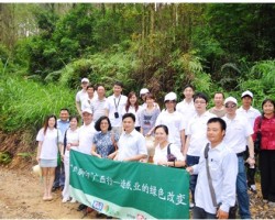 APP領銜造紙業(yè)的綠色改變