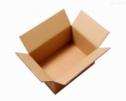 包裝紙箱漲價(jià)殃及花卉行業(yè)