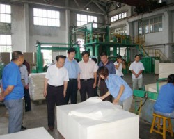 造紙專家為文化紙行業(yè)把脈